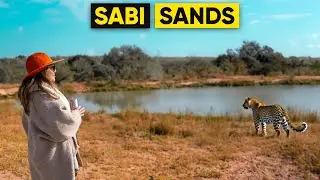 Experience the BEST All Inclusive Safari at Leopard Hills Lodge!