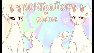 Notifications l MEME