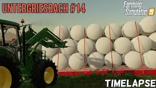 Selling Grain and Silage. Farming Simulator 19 Timelapse with Seasons in Untergreisbach #14