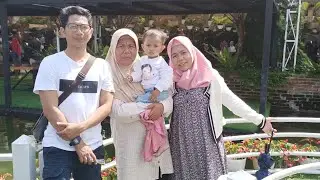 Part 3 Wisata Seru Taman Celosia di Semarang