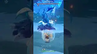 400K WITH MONA| DAMAGE SHOW CASE | GENSHIN IMPACT 