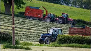 FIRST CUT GRASS SILAGE 2020