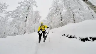 Urkiaga