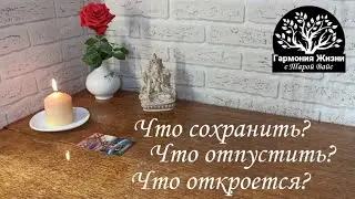 Что сохранить? Что отпустить? Что откроется? Тара Вайс 