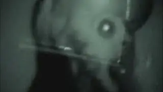 Butthole Surfers - Graveyard  (Rubber Johnny)