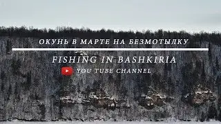 Окунёчки окуньки с того берега реки. Павловка, окунь по весне.