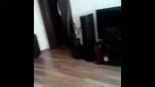 не разбуди Соню челендж