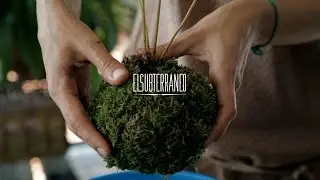 ELSUBTERRANEO. Konuko Garden, 2014