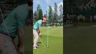 Double Slow Down Tiger Vision  