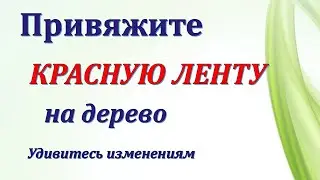 Привяжите красную ленту на дерево. Удивитесь изменениям в жизни