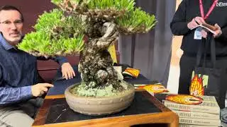 Patricia O'Connor, The Bonsai Balcony: The Pacific Bonsai Expo. More Vendor Walkthrough.