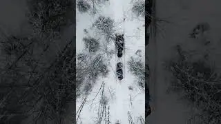 Еду в Печоро-Илычский заповедник 