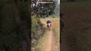 ⚙️ Ride Smaller Roads ⚙️ Vietnam Motorbike Tours #vietnam #motorcycle #motorbike #tours #wayoflife