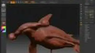 Zbrush 3.1- Hammerhead shark4