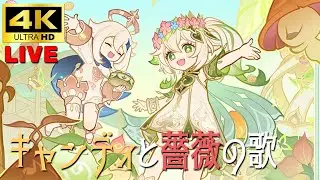 【原神4K/LIVE】花神誕祭『キャンディと薔薇の歌』【GenshinImpact4K】