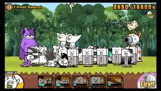 The Battle Cats - A Private Rainforest