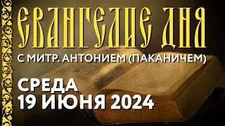 Толкование Евангелия с митрополитом Антонием (Паканичем). Среда, 19 июня 2024 года.