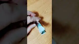 roblox степлер