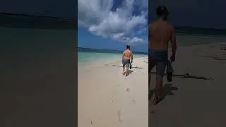 Island Exercise for "WILD" Animals 🐕 🏝️ ⛵️ #shorts