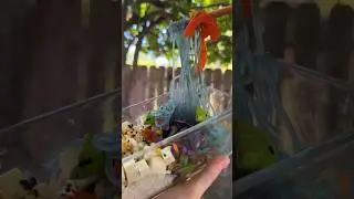 Rainbow Glass Noodle Bowls 🌈
