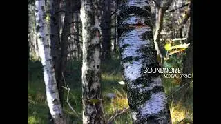 Medieval spring atmosphere in loop for 1 hour, full hd