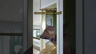 Ну и в чем он не прав?😂 