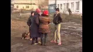Житейское несчастье