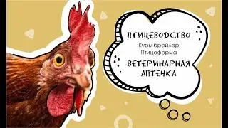 Птицеводство . Куры бройлер . Птицеферма . Ветеринарная аптечка.