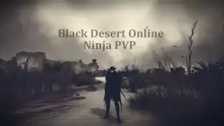 BDO Ninja vs Striker