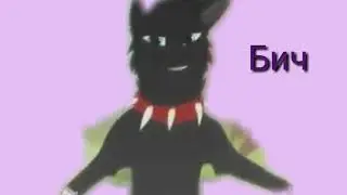Коты воители 18 мне уже