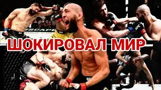 ШОКИРОВАЛ МИР!!! все бои Хамзата Чимаева до UFC