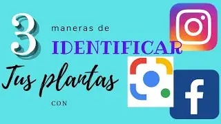 Aprende a IDENTIFICAR tus plantas