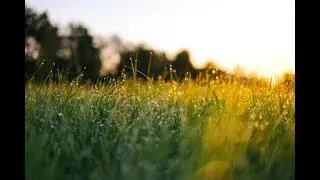 Seoul Fashion Video 1