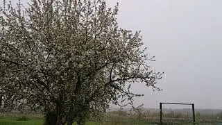 Погода швах.