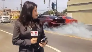 Incredible Road Moments Caught on Camera