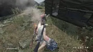 Dayz