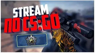 Немного КСГО не помешает, вечерний Counter-Strike: Global Offensive
