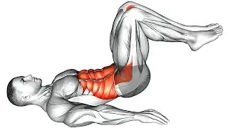 Kegel Exercises For Men Pelvic Floor Exercises
