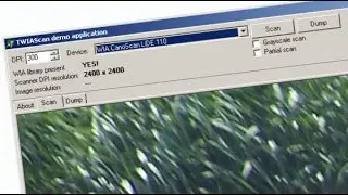 Cara menghubungkan Scanner dan delphi menggunakan twain