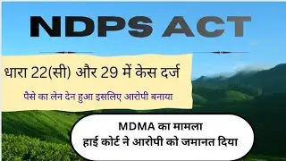 Bail in NDPS because only financial transactions 