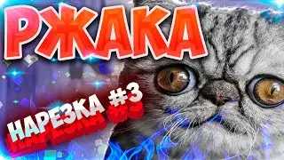 РЖАКА/ПРИКОЛЫ 2021/ЮМОР/СМЕХ