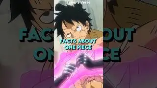 One Piece Facts You NEED to Know! 