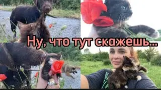 849❤️Юг. Что в Вашем понимании Лаврушка?