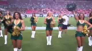 2013 -2014 USF SunDolls