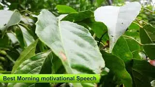 GET SOMETHING FOR YOUR PAIN  | Motivational Speech