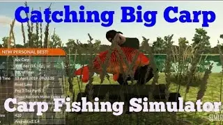 Carp Fishing Simulator (Episode 2) 2019, How to Catch big Fish