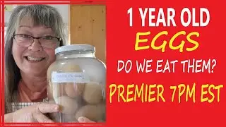 Hydrated Eggs 1 Year Of Age  Will We Eat Them?