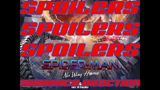 [Spoilers!] Spiderman No Way Home Audience Reaction audio 12/19/21