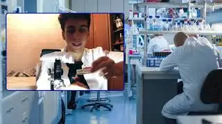 Vendo um protozoário de musgo no Microscópio (PARAMÉCIO) - trecho de live