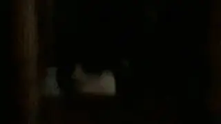 Whats going on in here?